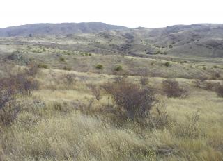 20140123 164341 resized