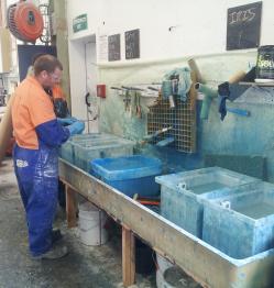 IRIS REPLACING ACETONE IN FIBREGLASS PLANT 1